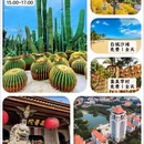 鼓浪屿 - 厦门市旅游 缩略图 7