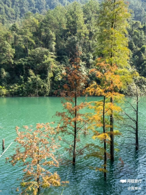 狮头山公园 - 厦门市旅游