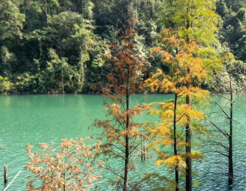 狮头山公园 - 厦门市旅游 1