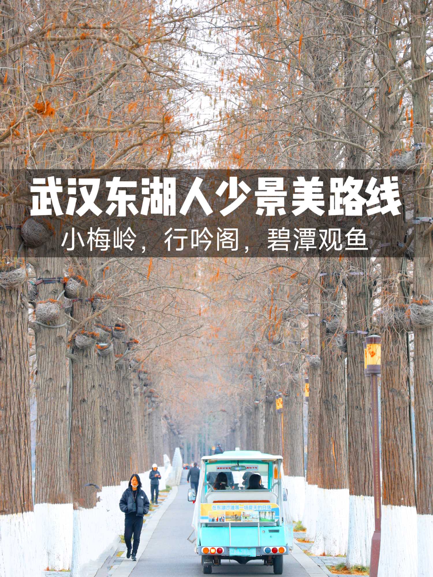 东湖听涛景区 - 武汉市旅游