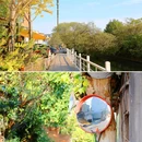 五七公社 - 杭州市旅游 缩略图 8