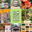 杭州植物园 - 杭州市旅游 缩略图 1