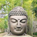 杭州植物园 - 杭州市旅游 缩略图 5