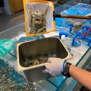 荷萍大厦 - 九江旅游 缩略图 8