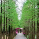 天河湿地公园 - 广州市旅游 缩略图 7
