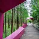 天河湿地公园 - 广州市旅游 缩略图 6