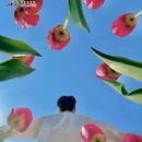 盐城大洋湾生态旅游景区 - 盐城市旅游 缩略图 3