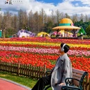 盐城大洋湾生态旅游景区 - 盐城市旅游 缩略图 2