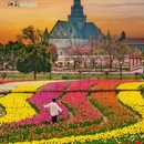盐城大洋湾生态旅游景区 - 盐城市旅游 缩略图 1