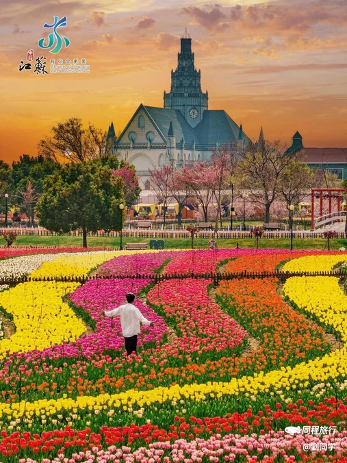 盐城大洋湾生态旅游景区 - 盐城市旅游