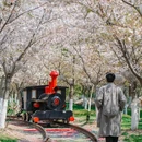 盐城大洋湾生态旅游景区 - 盐城市旅游 缩略图 8