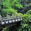 广州兰圃 - 广州市旅游 缩略图 4