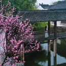 盐官潮乐之城国际旅游度假区 - 嘉兴市旅游 缩略图 7