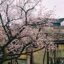 盐官潮乐之城国际旅游度假区 - 嘉兴市旅游 缩略图 9