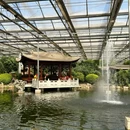 只有红楼梦 · 戏剧幻城 - 廊坊市旅游 缩略图 3