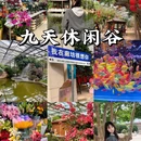 只有红楼梦 · 戏剧幻城 - 廊坊市旅游 缩略图 2