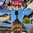 只有红楼梦 · 戏剧幻城 - 廊坊市旅游 缩略图 9