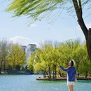 朝阳公园 - 北京市旅游 缩略图 8