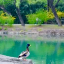 颐和园-西堤 - 北京市旅游 缩略图 3