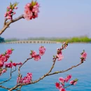 颐和园-西堤 - 北京市旅游 缩略图 7