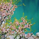 颐和园-西堤 - 北京市旅游 缩略图 2