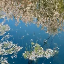 花家地公园 - 北京旅游 缩略图 4