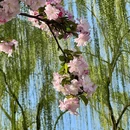 花家地公园 - 北京旅游 缩略图 7
