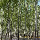 花家地公园 - 北京旅游 缩略图 9