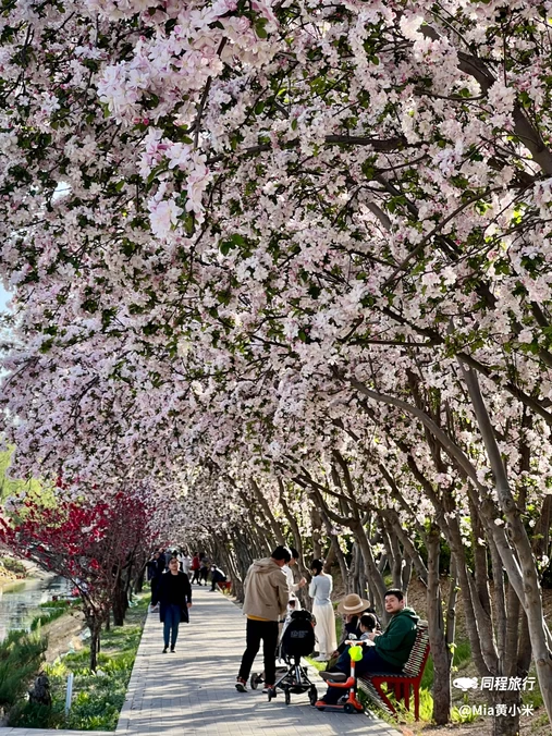 花家地公园 - 北京旅游