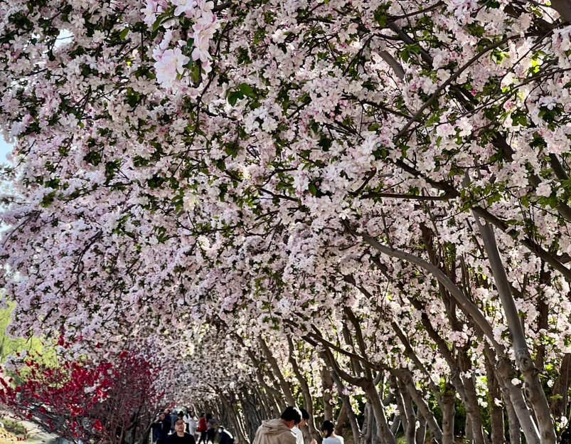 花家地公园 - 北京旅游 1