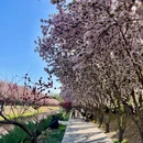 花家地公园 - 北京旅游 缩略图 5