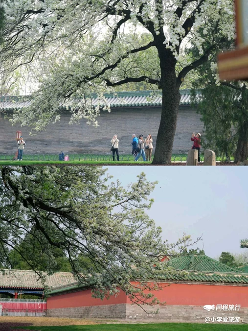 天坛公园 - 北京市旅游