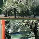 天坛公园 - 北京市旅游 缩略图 2