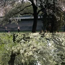 天坛公园 - 北京市旅游 缩略图 6