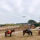 小蓝马牧场 - 成都市旅游 缩略图 2