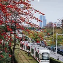 珠江新城 - 广州市旅游 缩略图 1