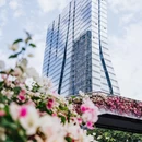 珠江新城 - 广州市旅游 缩略图 8