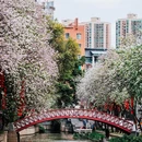 珠江新城 - 广州市旅游 缩略图 7