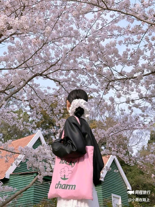 青岛中山公园 - 青岛旅游
