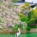 濮院时尚古镇 - 嘉兴市旅游 缩略图 1
