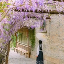 濮院时尚古镇 - 嘉兴市旅游 缩略图 8