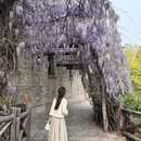 濮院时尚古镇 - 嘉兴市旅游 缩略图 4
