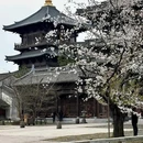 濮院时尚古镇 - 嘉兴市旅游 缩略图 9