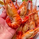 花房私厨餐厅(西溪天堂店) - 杭州市旅游 缩略图 8