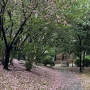 漕河泾公园 - 上海市旅游 缩略图 5