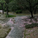 漕河泾公园 - 上海市旅游 缩略图 6