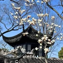 拙政园 - 苏州市旅游 缩略图 6