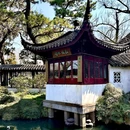 拙政园 - 苏州市旅游 缩略图 8
