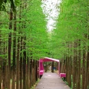 天河大观湿地公园-北门 - 广州市旅游 缩略图 7