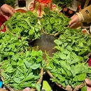 皇味牛肉·养生黄牛肉生态汤锅(建设北路店) - 成都市旅游 缩略图 7